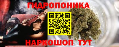 стафф Новозыбков