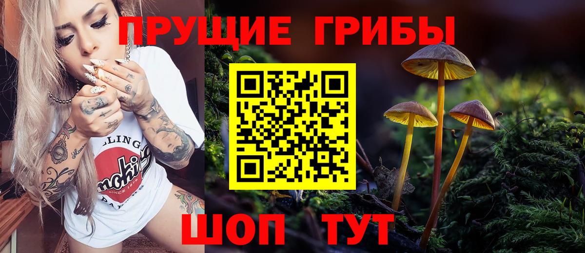 Галлюциногенные грибы мицелий Тамбов