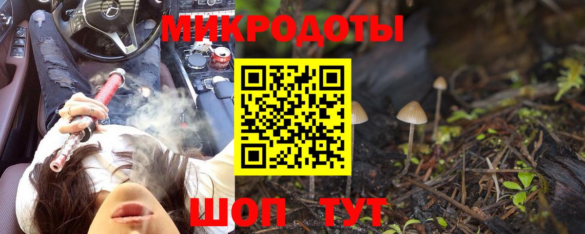 Псилоцибиновые грибы прущие грибы  Псилоцибиновые грибы мицелий  Вход с VPN  Тамбов 